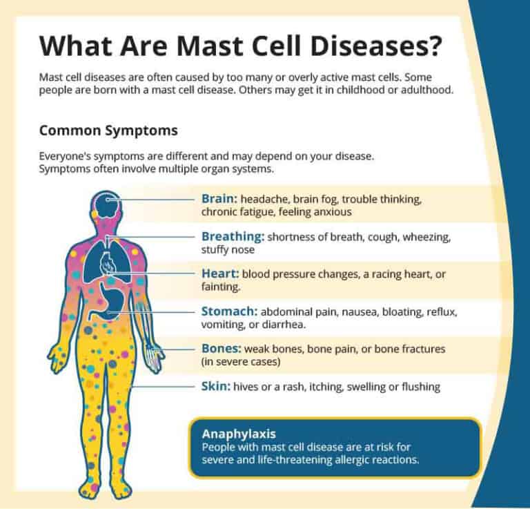 What Are Mast Cell Diseases? - Allergy & Asthma Network