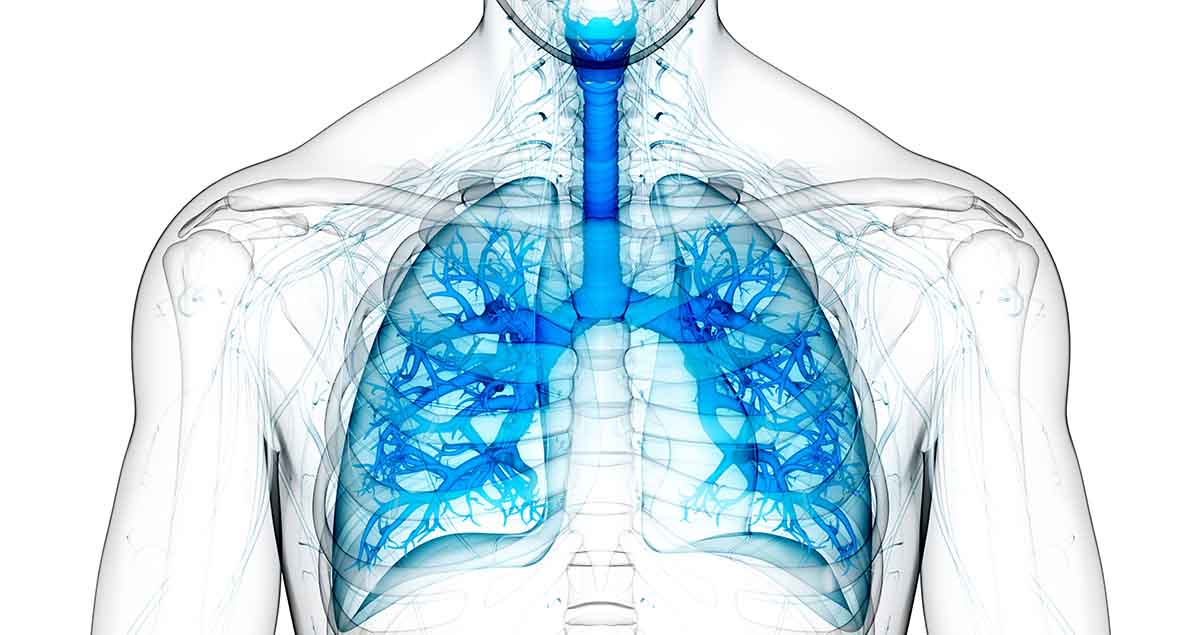 COPD Phenotypes (Recording)
