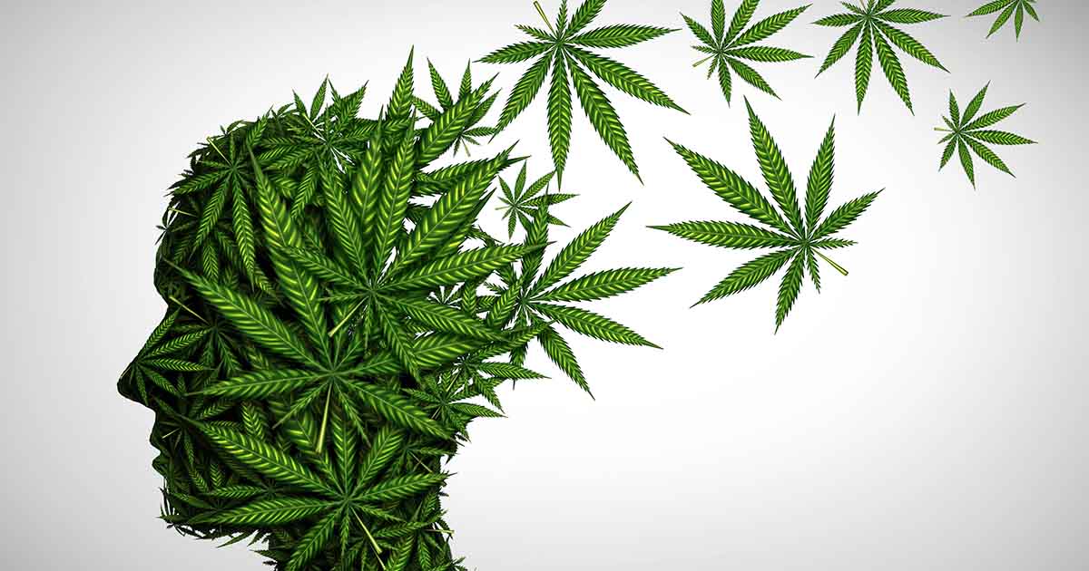 Marijuana Use & Asthma: Risks and Considerations for Users (Recording)