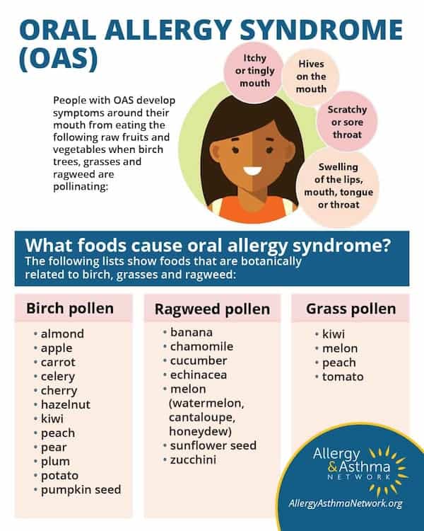 Infographic about Oral Allergy Syndrome showing a woman's face with symptoms and lists of foods linked to birch, ragweed, and grass allergies. Includes a logo for the Allergy & Asthma Network at the bottom right.