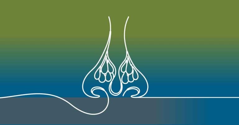 A stylized white line drawing of a pair of nostrils with olfactory structures, set against a green and blue gradient background. A single line flows from the left and forms the outlines of the nose.