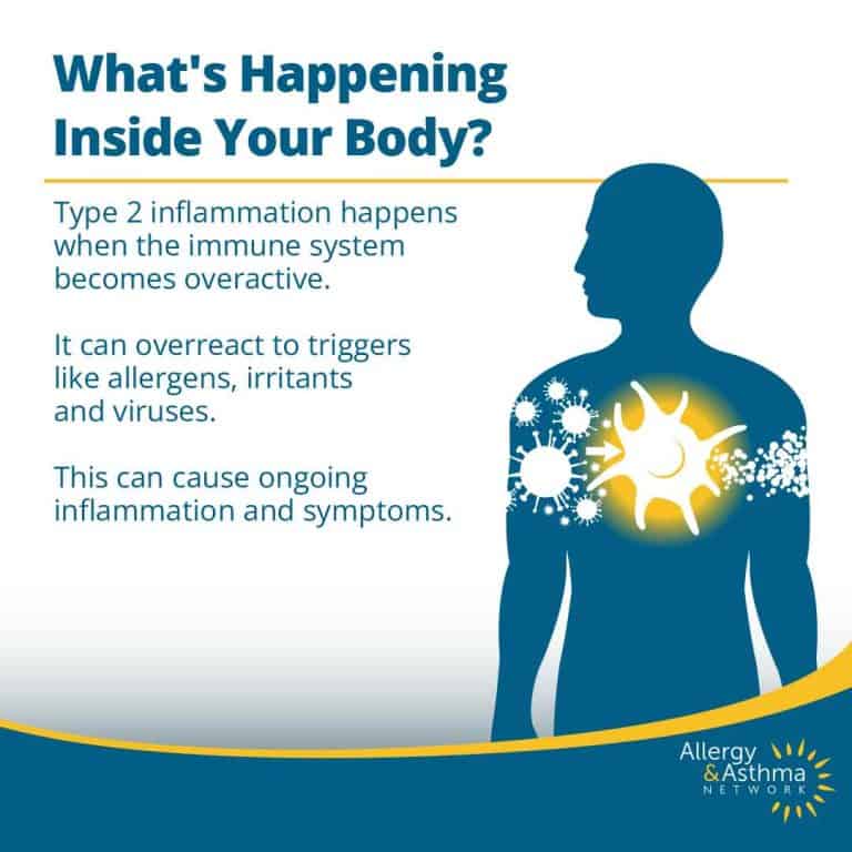 What is Type 2 Inflammation? %page% - Allergy & Asthma Network