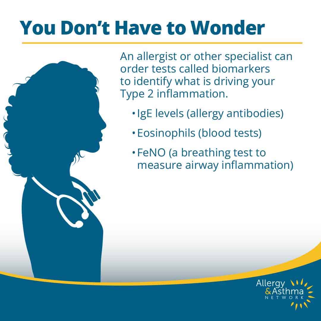 Silhouette of a female doctor with a stethoscope. Text explains that specialists can order tests—IgE, eosinophils, and FeNO—to identify causes of Type 2 inflammation. Allergy & Asthma Network logo at bottom right.