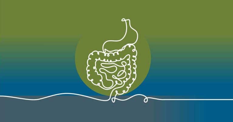 A minimalist line drawing of a human digestive system, including the stomach and intestines, set against a green and blue gradient background with a circular green highlight.