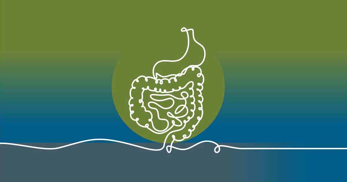 How Does Gut Health Affect Food Allergies?